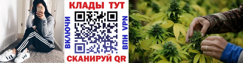 Наркошоп купить Cocaine  Мефедрон  Галлюциногенные грибы  Конопля  Киселёвск