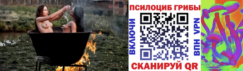 Купить  Киселёвск  Галлюциногенные грибы MAGIC MUSHROOMS 