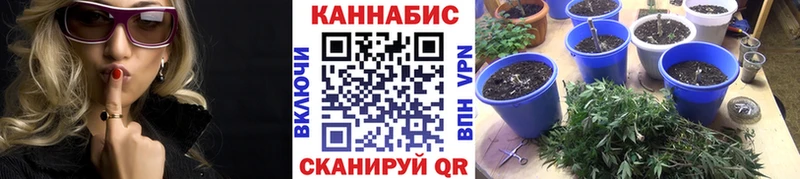 Купить  Киселёвск  Конопля Bruce Banner 